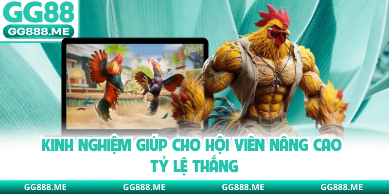 Kinh nghiệm giúp cho hội viên nâng cao tỷ lệ thắng